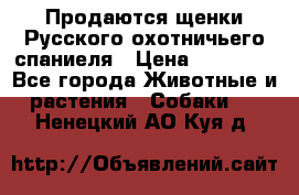 Продаются щенки Русского охотничьего спаниеля › Цена ­ 25 000 - Все города Животные и растения » Собаки   . Ненецкий АО,Куя д.